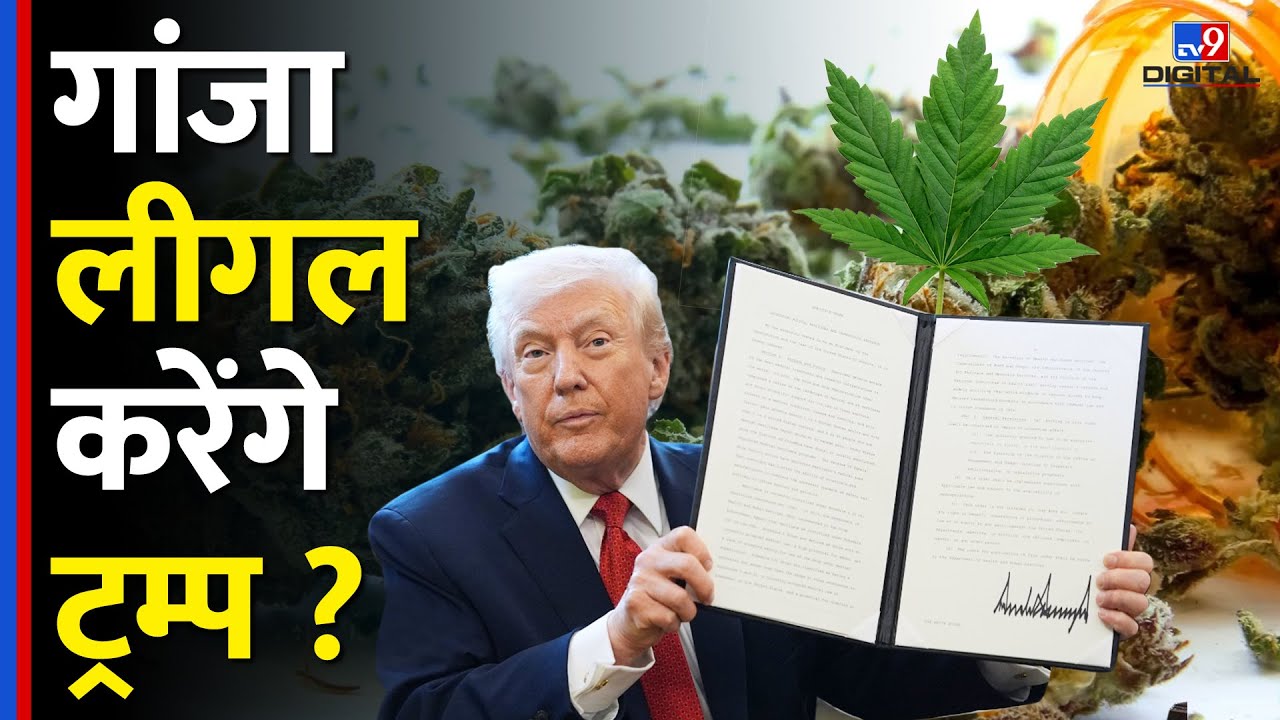 गांजा लीगल करेंगे US President Donald Trump ? | Reclassification of marijuana  