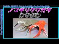ノコギリクワガタおりがみ KIDS向け公開 ノコギリクワガタおりがみ KIDS向け公開
