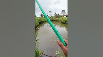 #shorts trình tày vlog câu Lure cá lóc câu cá giải trí #92 #fishing #cauca #vlog