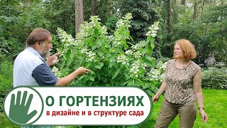 видео: Видео журнал  картинка: Видео журнал