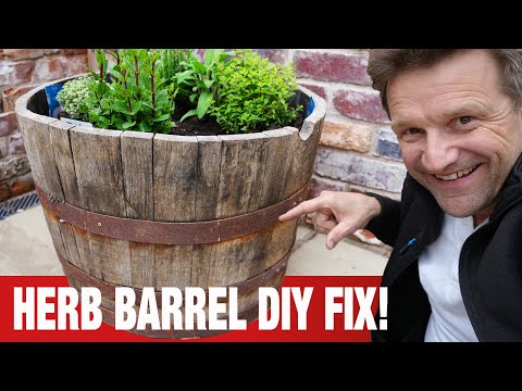 From Whisky Barrel to Herb Garden - Spring DIY Transformation
