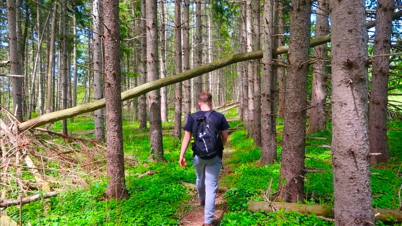 Exploring Amherst State Park