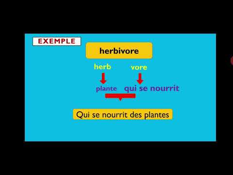 Vidéo: C'est une racine grecque ou latine ?