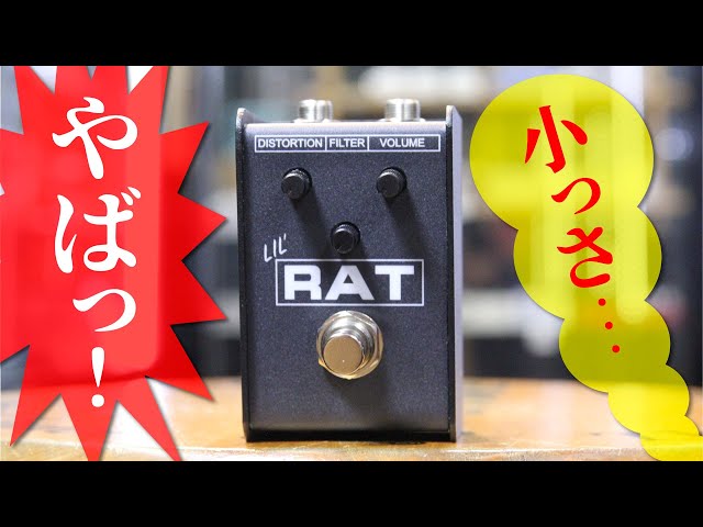 PRO-CO LIL'RAT 値下げしました