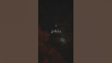 وَلَا تَهِنُوا وَلَا تَحْزَنُوا | تلاوة خاشعة جميلة بصوت ماهر المعيقلي ارح سمعك #ماهر_المعيقلي