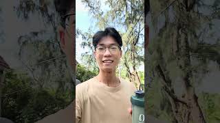 Khởi đầu ngày mới với Protein Nutrilite #amway #nutrilite #suckhoe