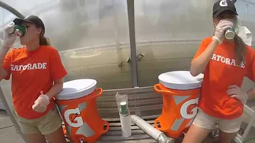 Cosa contiene l energade?
