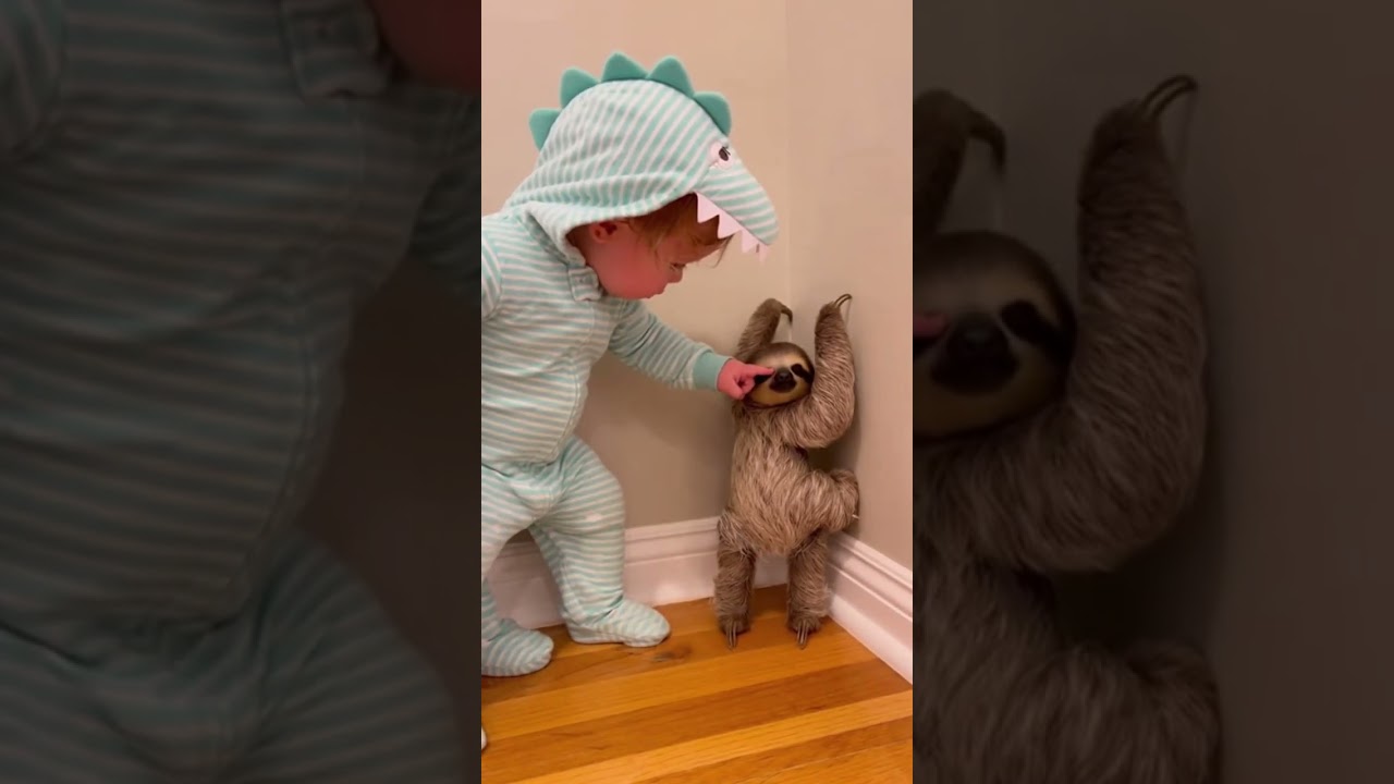 Baby Scolds Sloth 😍 Funny Cute Scene