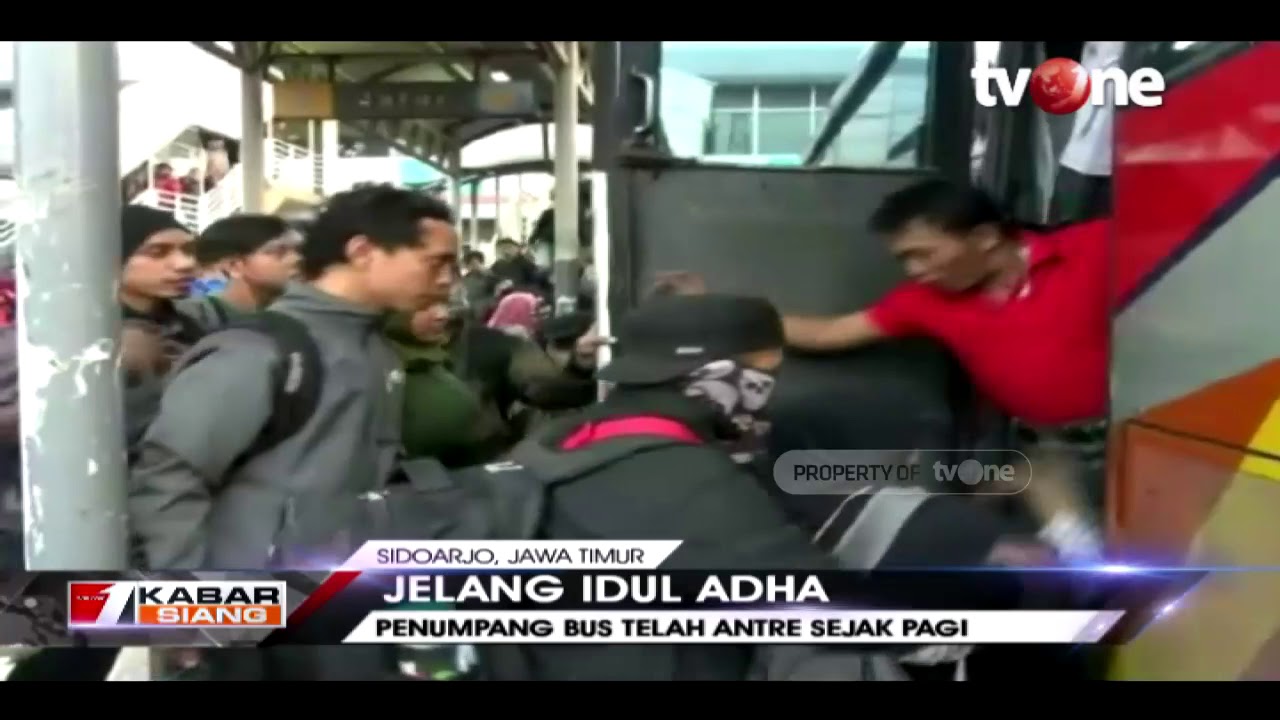 tv one live streaming free Penumpang Bus Tujuan Madura Melonjak Jelang Idul Adha