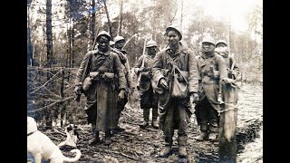 World War 1 Explained |  Full Documentary ||  1914 - 1918  : Taita Taveta