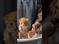 "Tiny Orange Kitten Rescued by Loyal Dog 🐶❤️"#animalrescue#rescuesoulsNetwork#usashorts