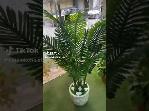 شجرة اريكة بوت اكريلك لون ابيض زلط للديكور