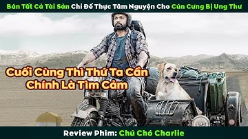 [Review Phim] Bán Tất Cả Tài Sản Chỉ Để Thực Hiện Tâm Nguyện Cho Cún Cưng Bị Ung Thư