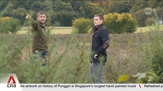 Thumbnail for Denmark's afforestation plans underway amid EU's push to keep climate targets on track