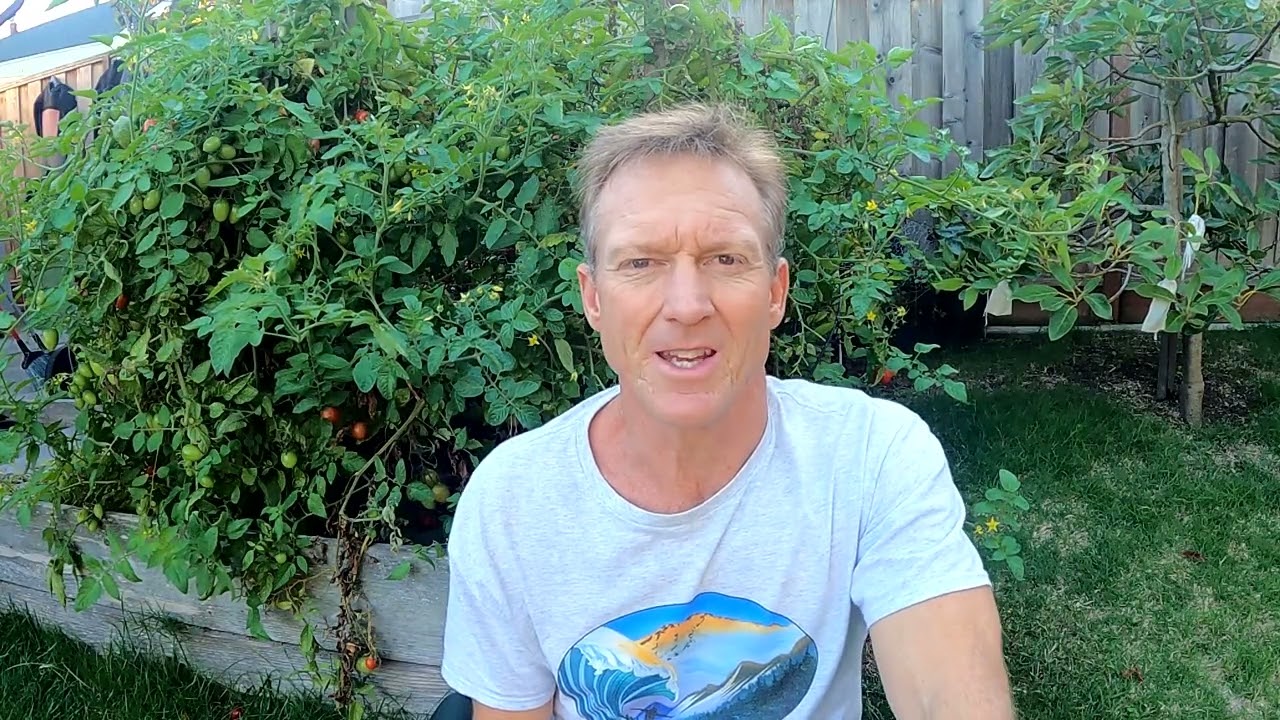 Back to Basic Sun Protection - Tested in Baja