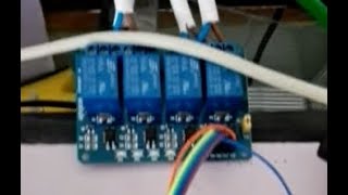 Raspberry ile akvaryum yönetimi