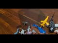 Animals throw out
