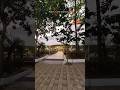 Infosys Chennai office❣️ #campuslife #infosyscampus #minivlog #corporatelife #travel #infosyschennai