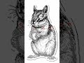 Easy Chipmunk Drawing for Beginners with Chillify