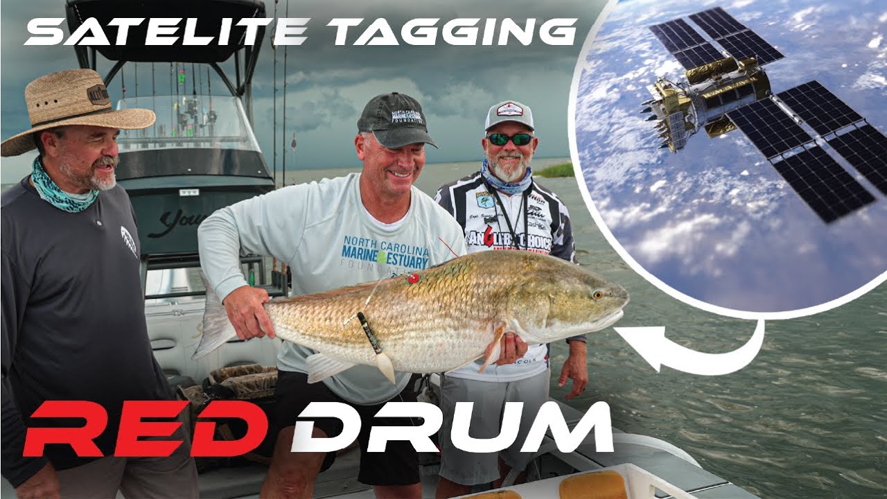 Спутниковое наблюдение за Большим Красным Барабаном!