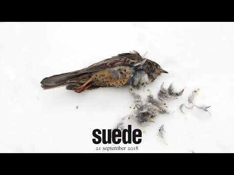 Suede - The Blue Hour (Trailer 1)