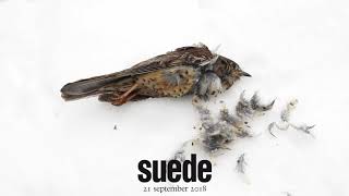 Suede - The Blue Hour (Trailer 1)