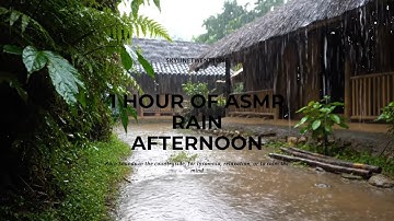 1 Hour of ASMR Rain Afternoon in the Countryside, For Insomnia, Relaxation, or to Calm the Mind.