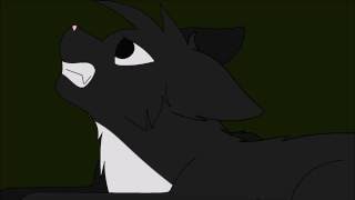 Ravenpaw | Castle of Glass | part 16