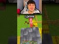 HAI MAI GIOCATO una VANILLA su MINECRAFT?