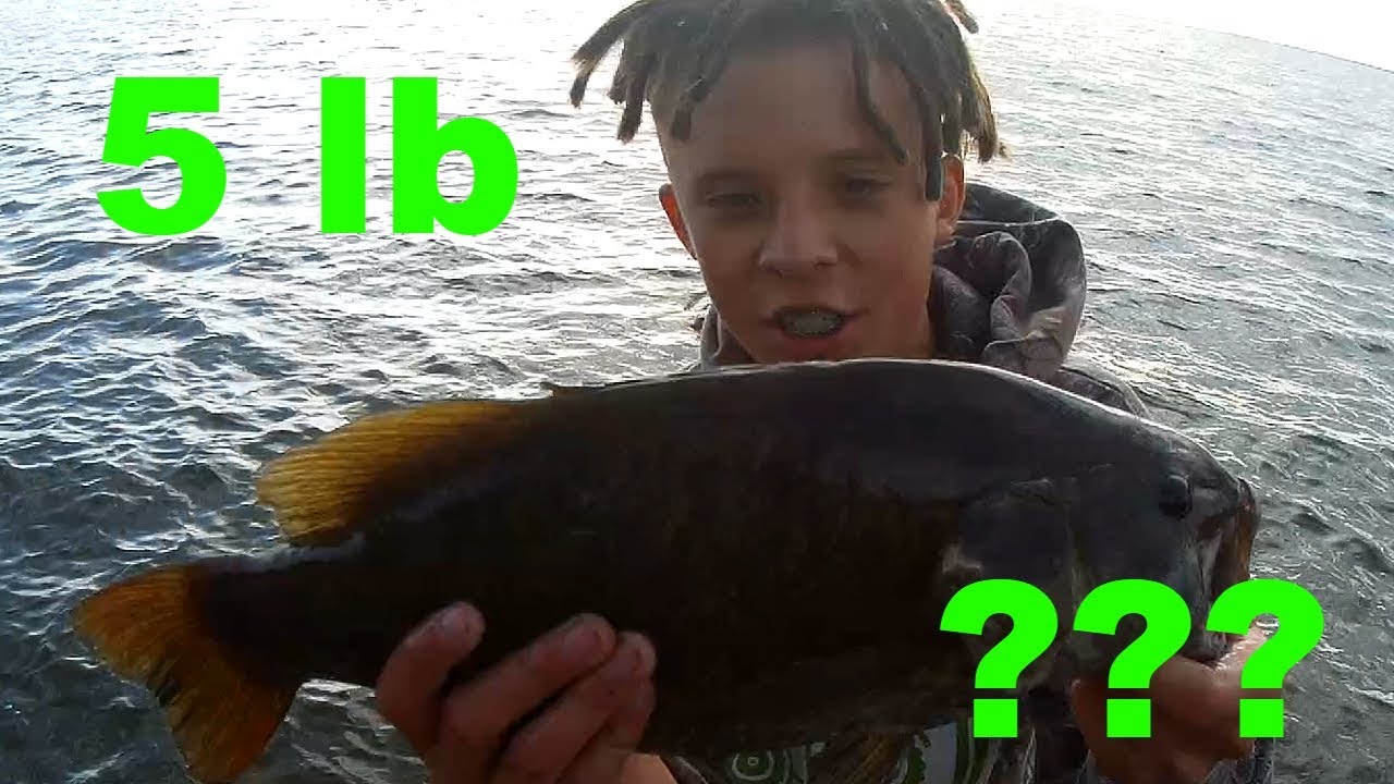 New PB Bass!!! (5 Pounds?) Insane Smallmouth, Lake Walcott series EP.3