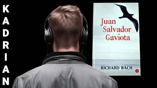 Resumen Análisis Mensaje Libro Juan salvador Gaviota de Richard Bach