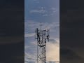 AI for Wireless: Hype vs. Harsh Reality (What They Won't Tell You!)
