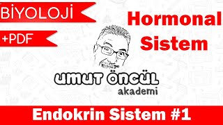Biyoloji | AYT | Endokrin Sistem #1 | Hormonal Sistem |  PDF