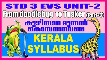 Kerala Syllabus Std 3 EVS from Doodlebug to Tusker scert Part 3 KITE VICTERS Class3 First Bell SCERT