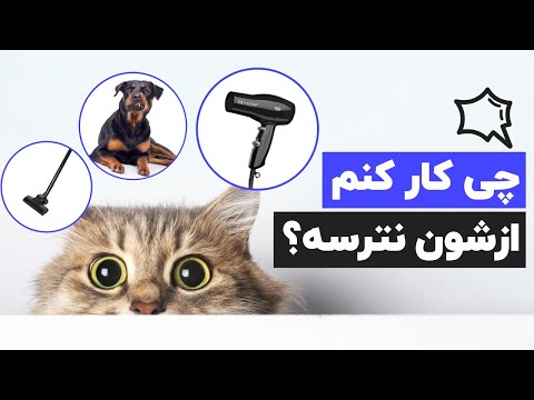 تصویری: نحوه بردن گربه بدون حامل به پزشک: 11 مرحله