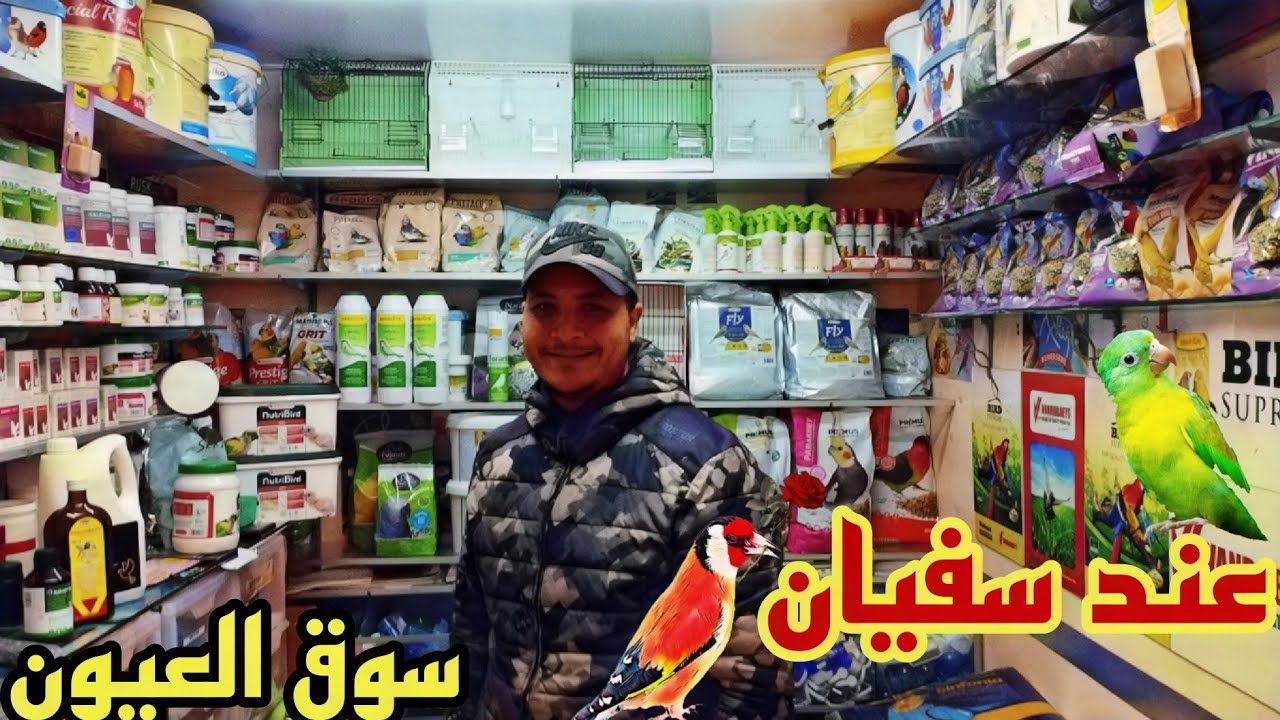 مكملات طيور🐦اثمنة الاكل🌾اقفاص مستلزمات الطيور بسوق القريعة🦜اكبر سوق الحيوانات في المغرب.الجملةوتقسيط