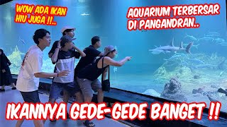 SEUMUR HIDUP BARU KALI INI LIAT IKAN HIU !! Petualangan di Aquarium super gede di Pangandaran