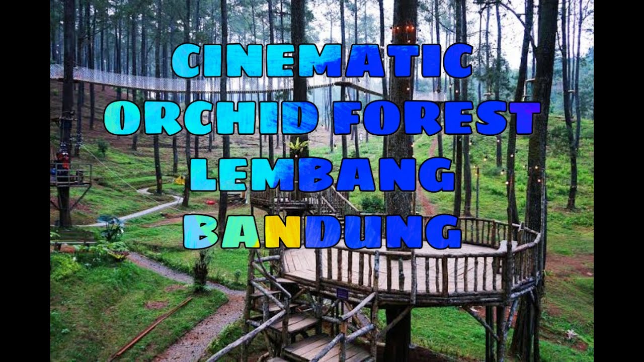  Cikole Lembang Bandung  Epic Cinematik Flower YouTube