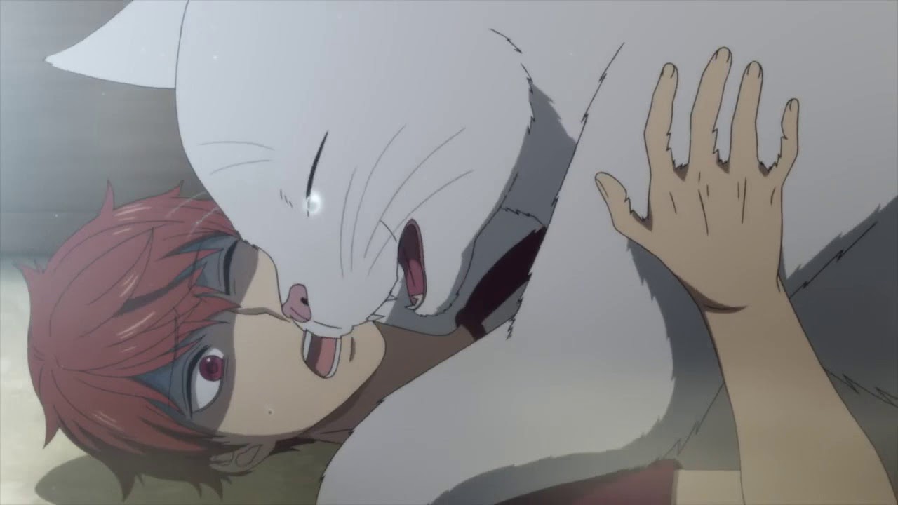 Download Mayonaka No Occult Kōmuin First Pv Youtube Desktop Wallpaper Wallpaper Mayonaka No Occult Kōmuin First Pv Youtube For Android Free