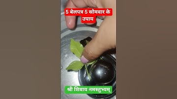 5 बेलपत्र 5 सोमवार के उपाय #pradeepmishrakeupay #shorts #upay #shortsfeed #viralshort #viral