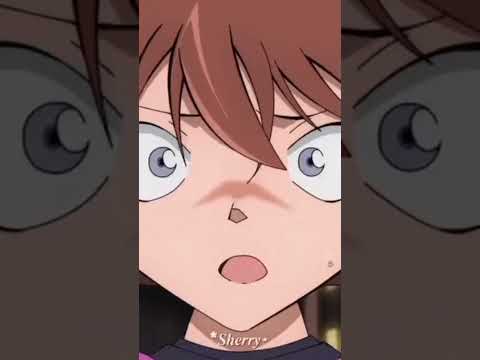 ضابطه صح اسم الاغنيه ممكن شلتنا