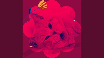 Pulsating Ambience for Calming Your Cats