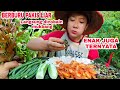 SAMBAL UDANG TUMIS PAKIS LIAR TERNYATA ENAK BIKIN NAGIH #mukbanglalapan #mukbang