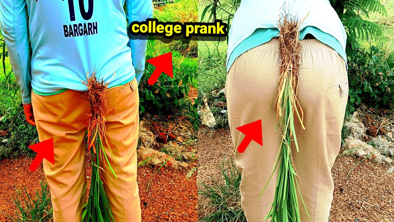 Top funny video college pranks new prank video 2023prnk prak video