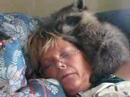 Naptime for me and my raccoon, Buster..