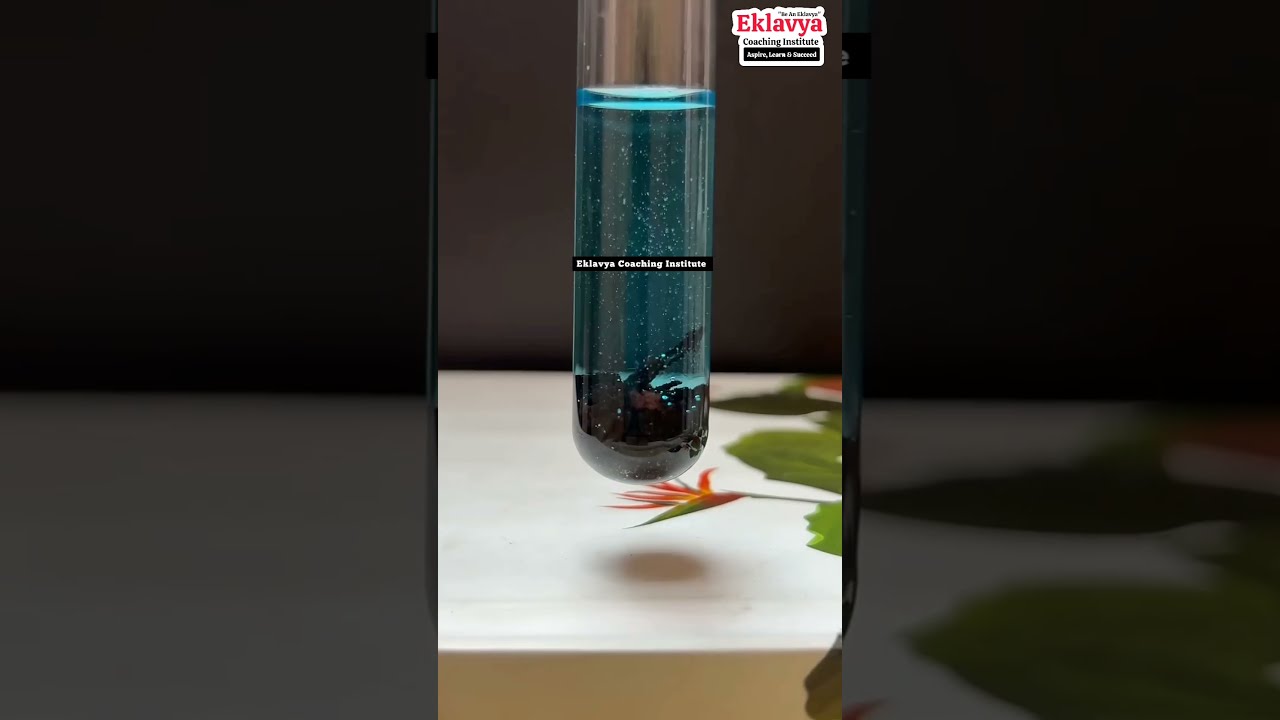 Reaction Of CuSO4 Zn Chemistry Shorts Chemical Experiment Scienceclass10th Science