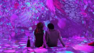 Experience Blooming Wonders at ARTECHOUSE Houston