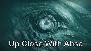 Destiny 2 OOB: Deep Diving with Ahsa