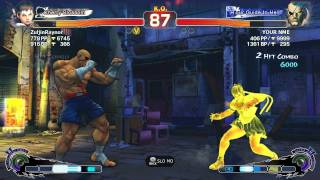 SSF4: AE PC [029] - Tiger Nap
