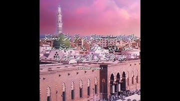 تلاوة من سورة الحجرات الشيح وحيد منجي رمضان